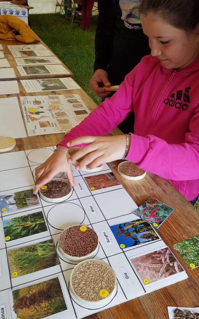 Ronde des Moulins 2019 - dimanche 7 avril