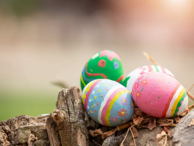 Animations De Paques