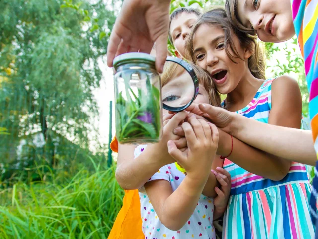 Le programme des Estivales 2024