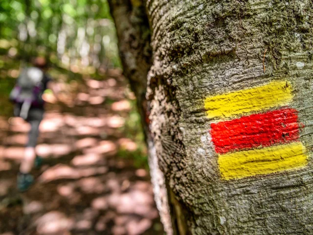 Chemin De Grande Randonnee Pays De Fenelon